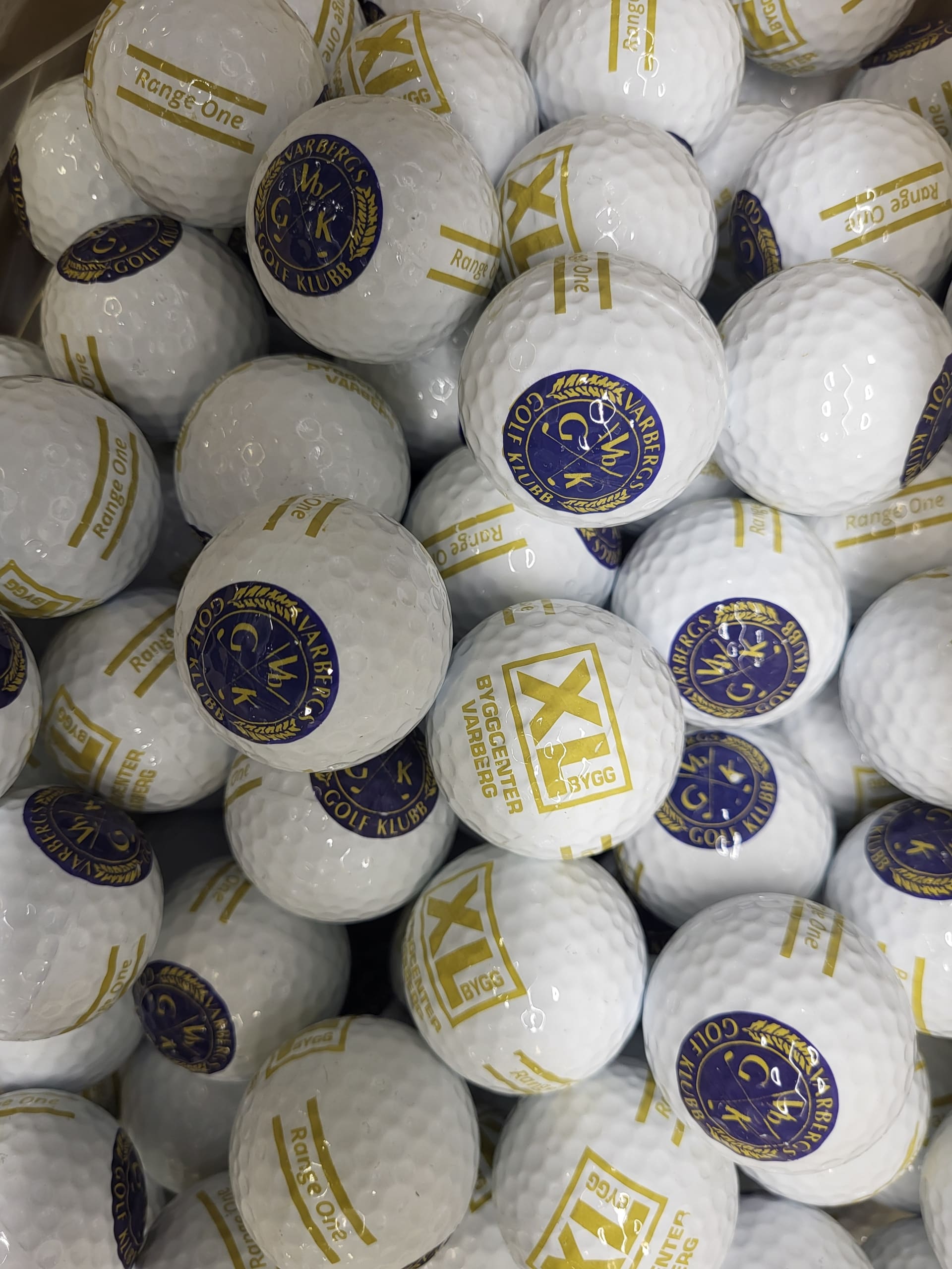 20240405_135508 20240405 135508 scaled