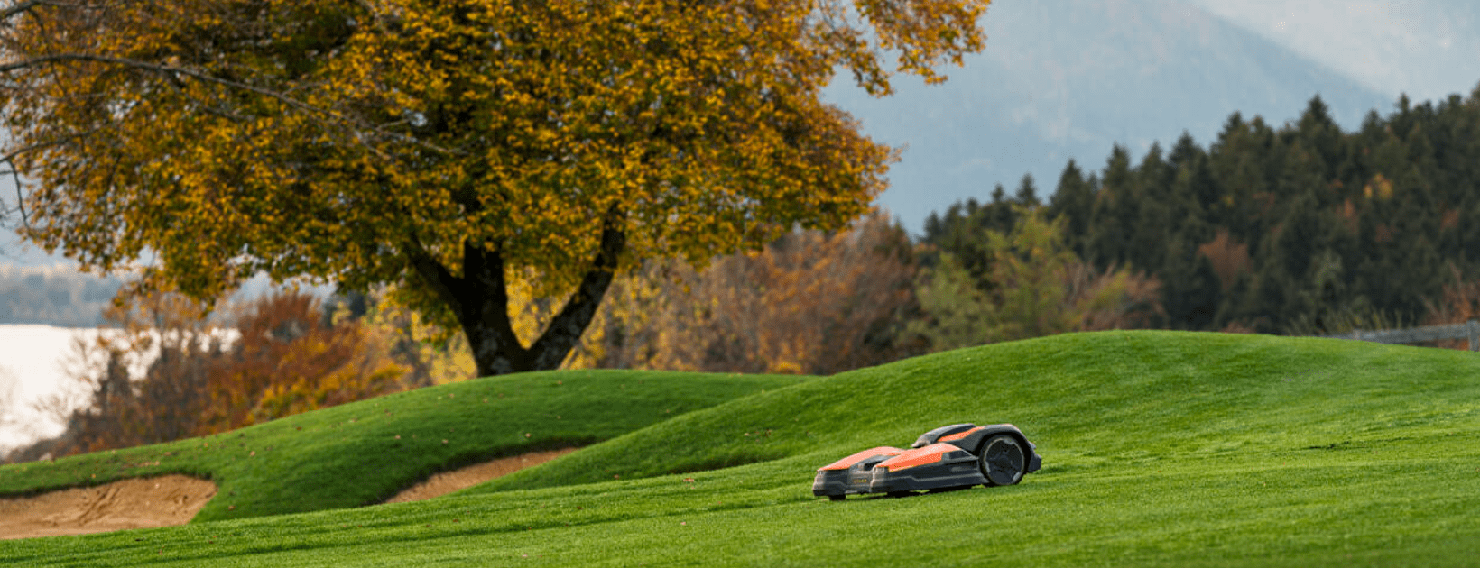 microsoftteams image 1