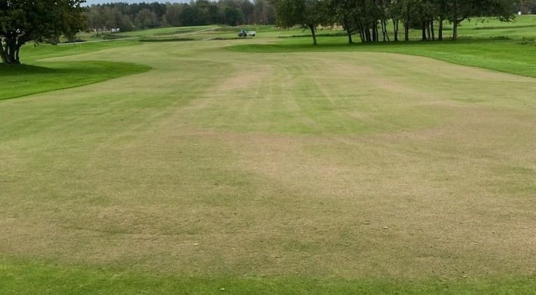 dressar fairway