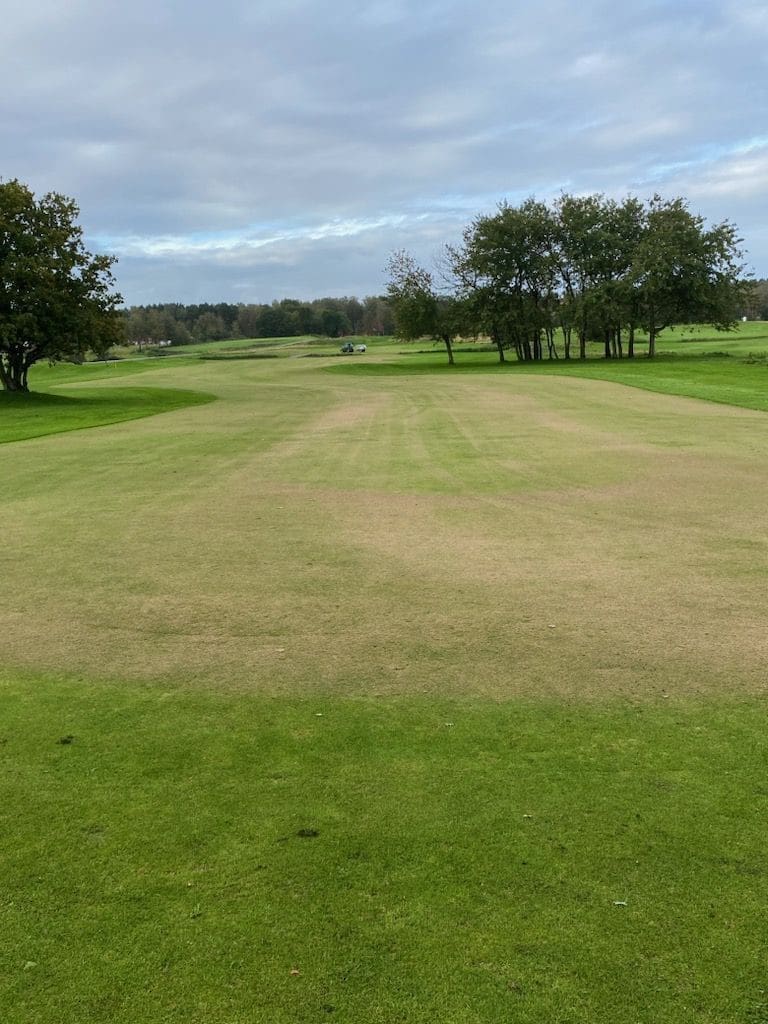 dressar fairway